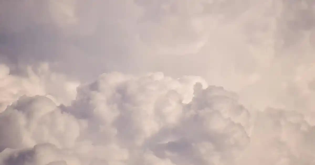 Erkek Spor Ayakkabıları Trendleri ve Seçim Rehberi 2023