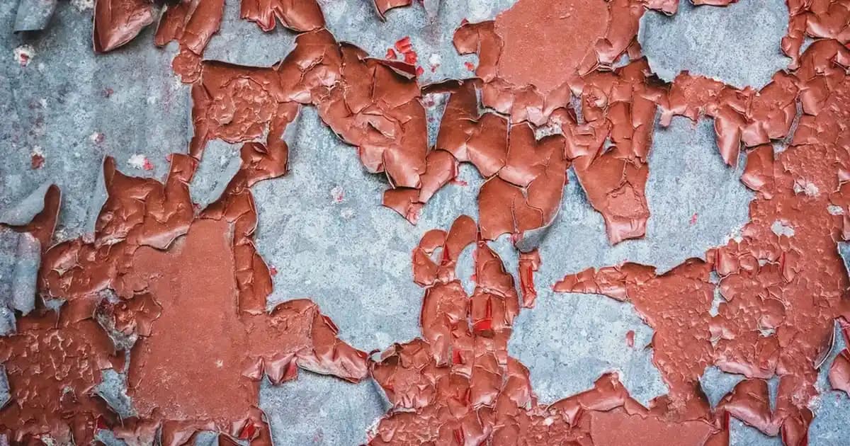 Erkek Spor Eşofman Altı Seçiminde Dikkat Edilmesi Gerekenler ve Trendler