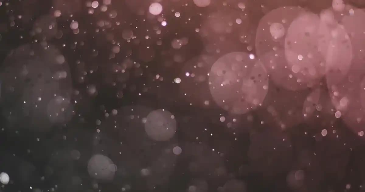 Erkek Spor Hırka Modelleri: Konfor ve Şıklığı Bir Arada Sunan Güncel Seçenekler