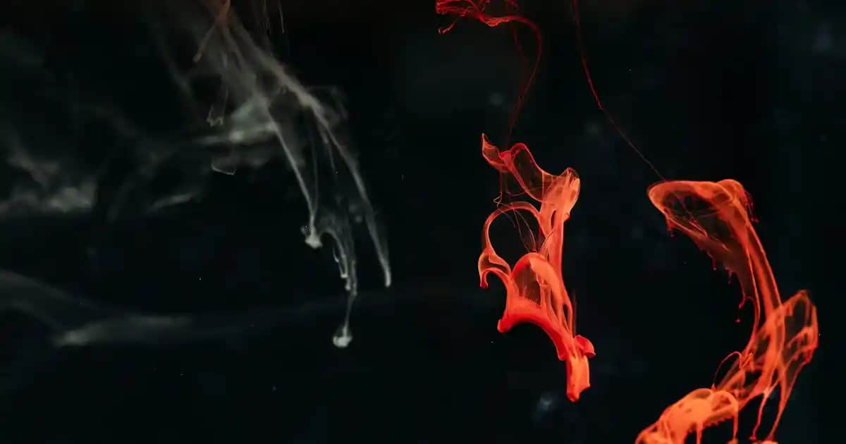 Erkek Spor Terlikleri: Konfor ve Şıklığı Bir Arada Sunan Modeller ve Özellikler