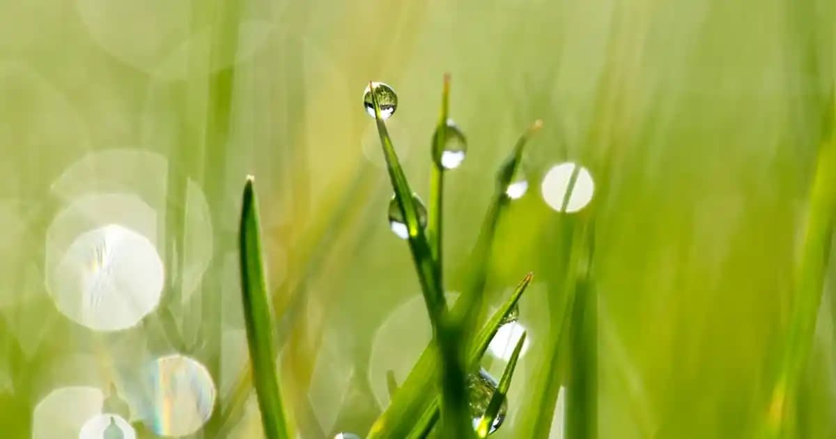 Erkek Sweatshirt Modelleri, Trendler ve Kombin İpuçlarıyla Güncel Giyim Rehberi