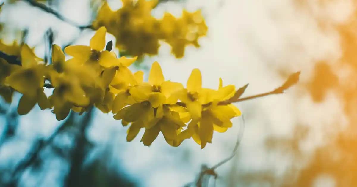 Erkek T-shirtleri Modelleri ve Aksesuarlarla Şık Kombinasyon İpuçları
