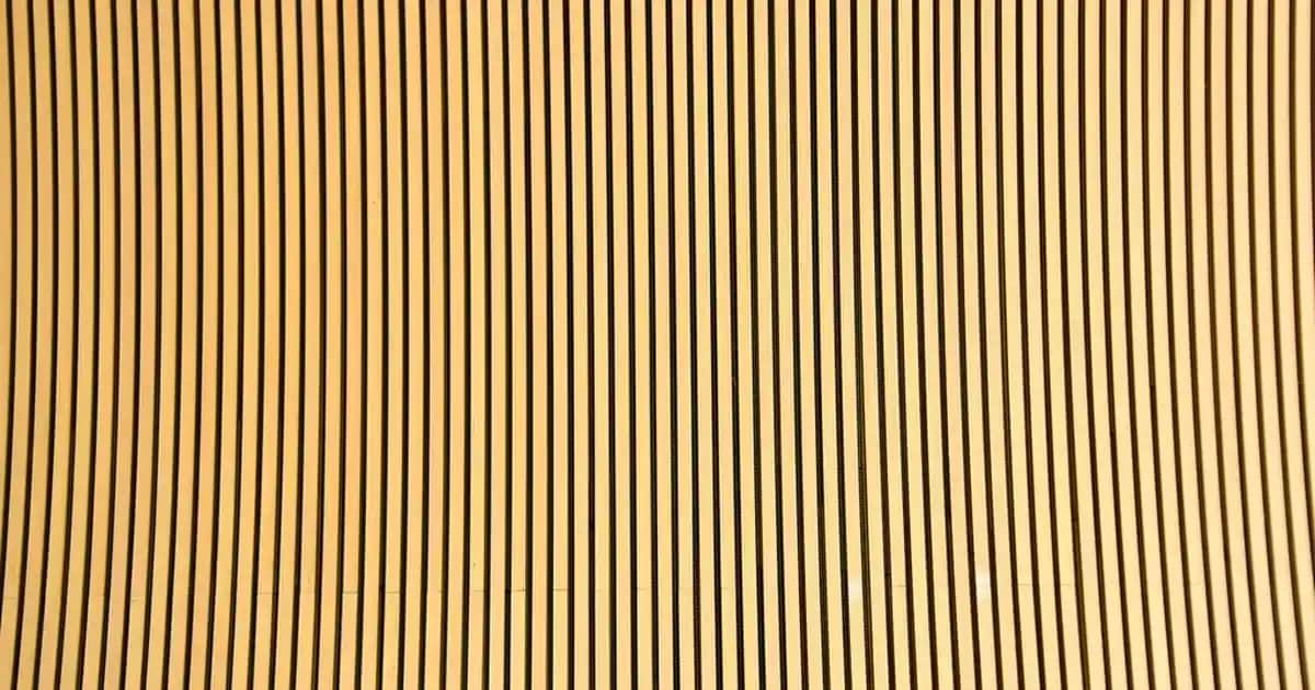 Erkek Tanga Modelleri, Fiyatları ve Seçim Rehberi İçin Güncel Bilgiler