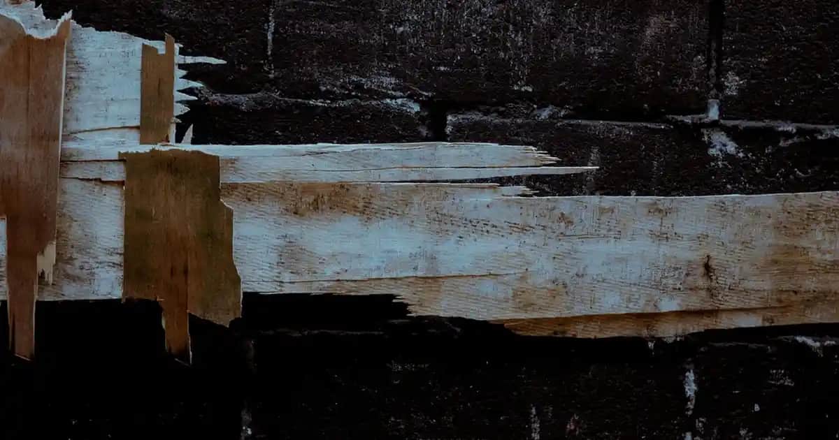 Erkek Terlik Modelleri: Konfor ve Şıklığın Uyumunu Yansıtan Güncel Seçenekler