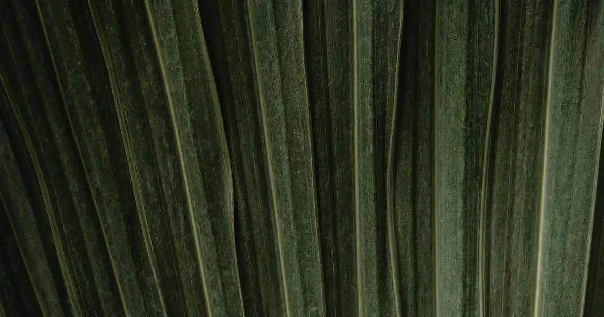 Erkek Tişört ve Aksesuar Seçiminde Stil ve Konforun En İyi Yöntemleri