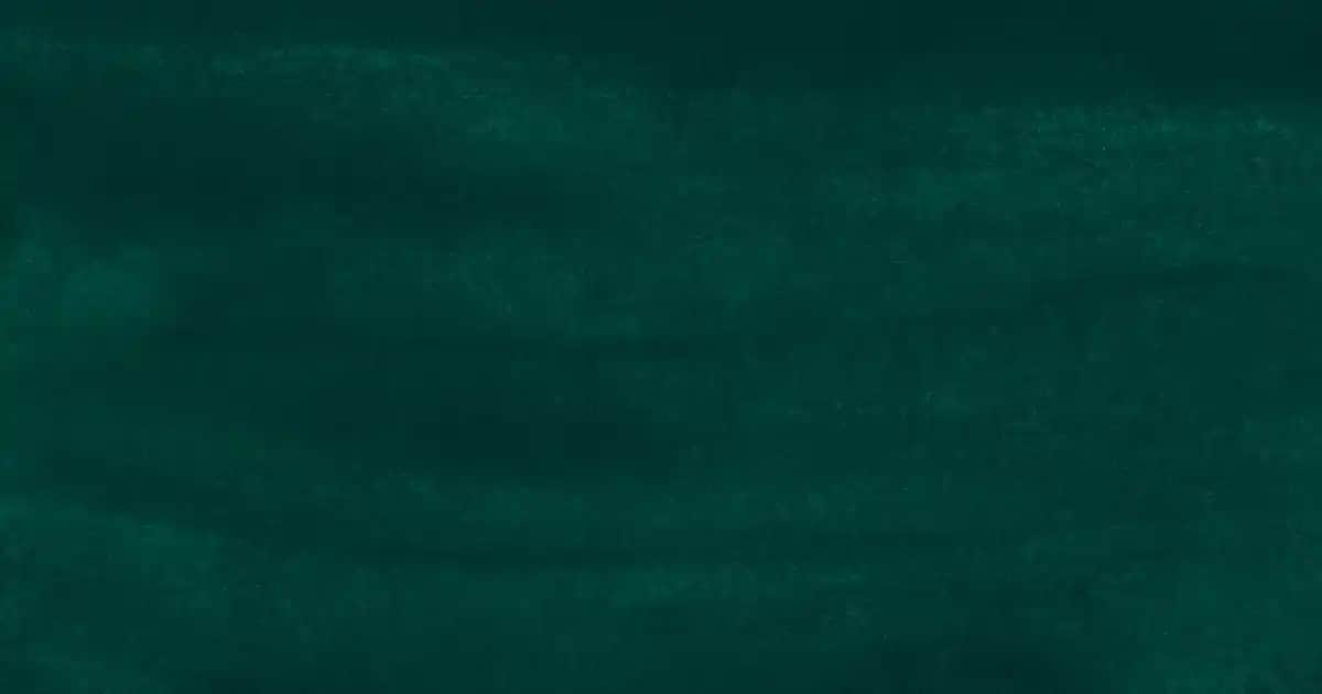 Erkek Triko Modelleri ve Stil İpuçları: Çanta ve Ayakkabıyla Uyum Yaratmanın Yolları