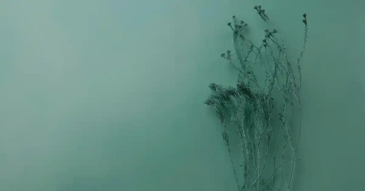 Erkek Yazlık Giyim Trendleri ve Stil İpuçları 2023 Yaz Sezonu İçin