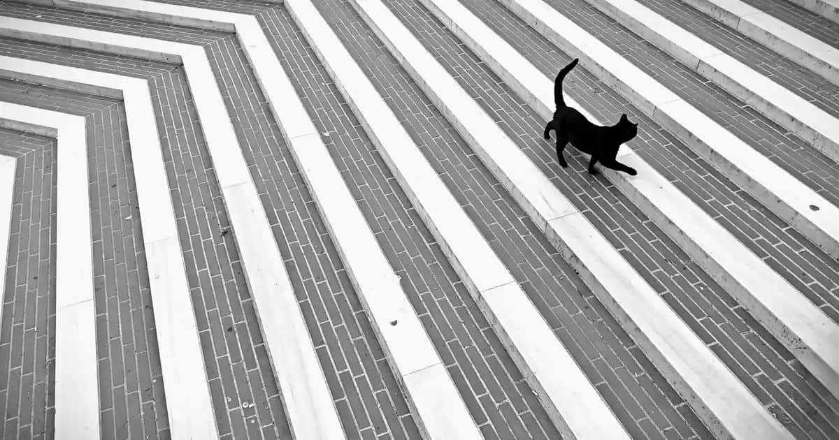 Erkek Yazlık Gömleklerde Desenlerin Gücü: Stil ve Konforun Birleşimi