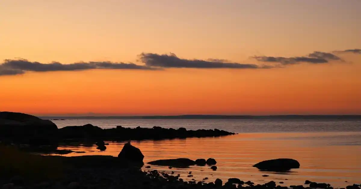 Erkek Yelek Kombinleri: Günlük ve Resmi Ortamlar İçin Stil ve Fonksiyonellik Rehberi