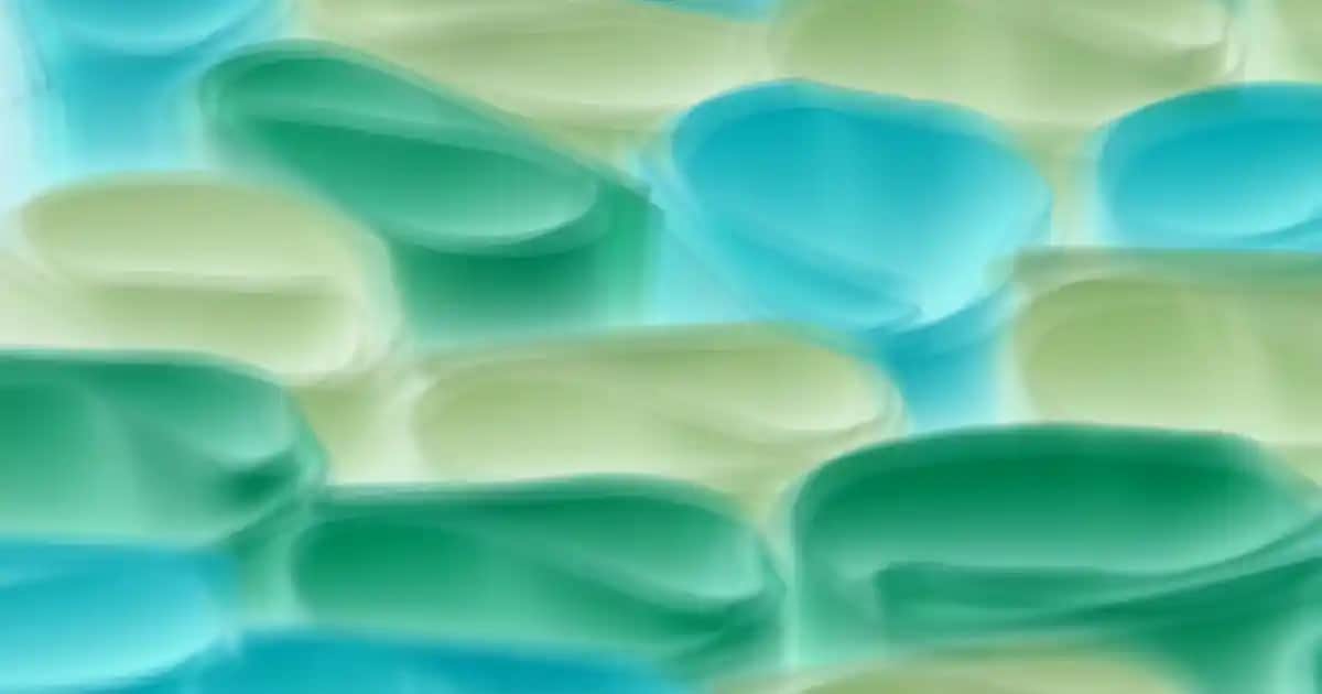 Erkek Yüksek Taban Klasik Ayakkabılar: Şıklık ve Konforun Modern Buluşması