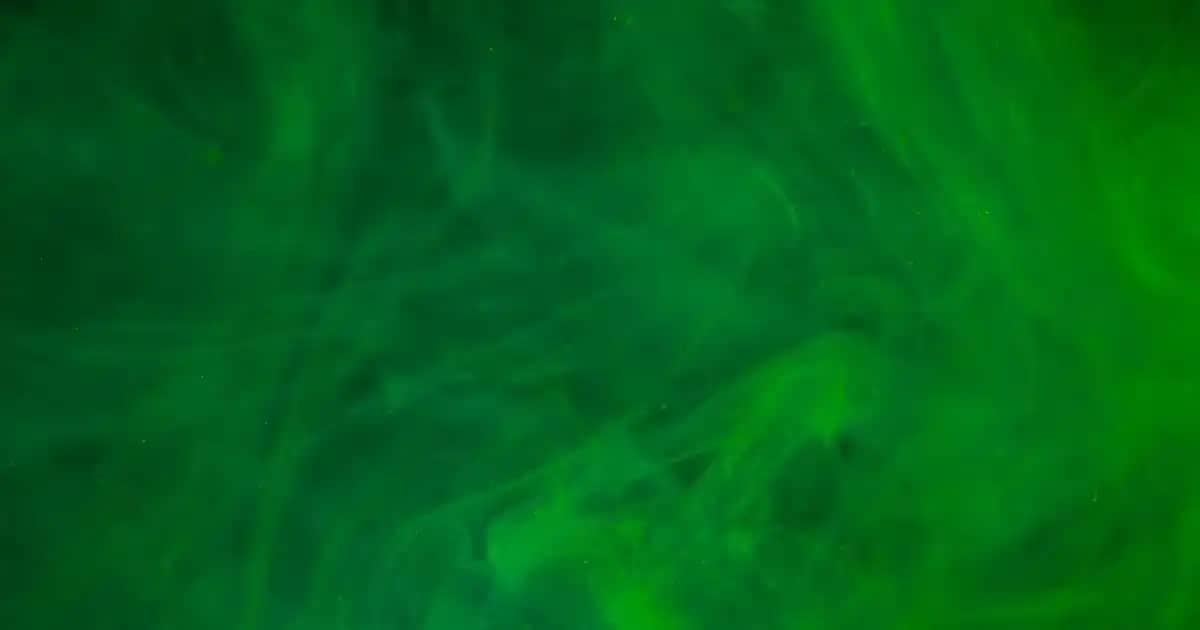 Erkekler İçin Beyaz Ayakkabı Kombinleri: Şıklık ve Konforun Uyumlu Yolu