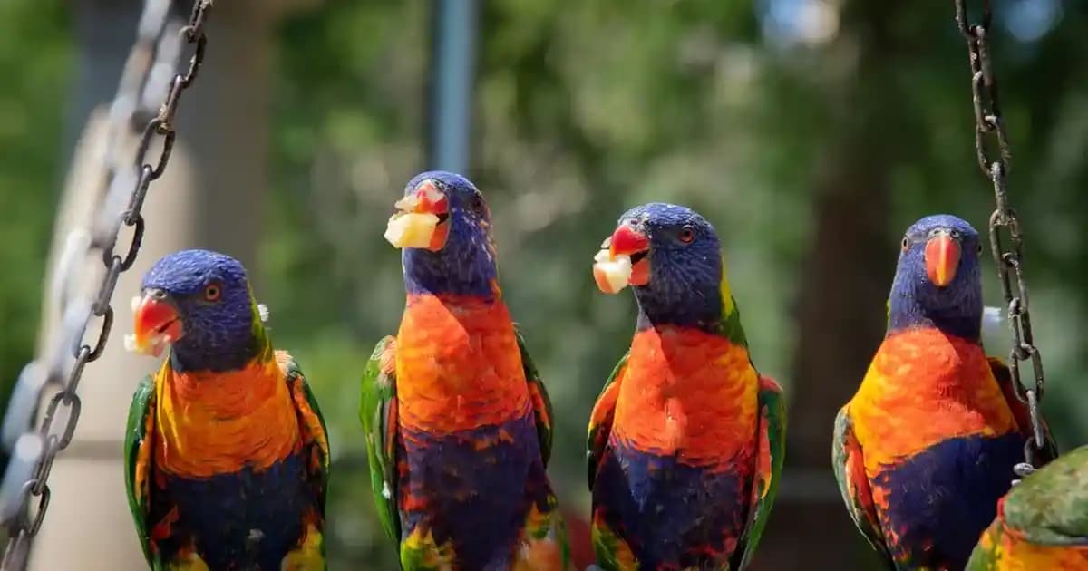 Erkekler İçin Bol Kesimli Jeanler: Rahatlık ve Tarzın Birleşimi Modaya Uygun Seçenekler