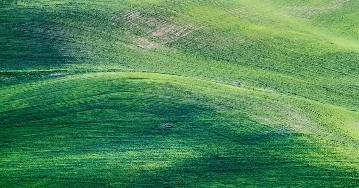 Erkekler İçin Büyük Güneş Gözlüğü Seçerken Dikkat Edilmesi Gerekenler ve Trendler