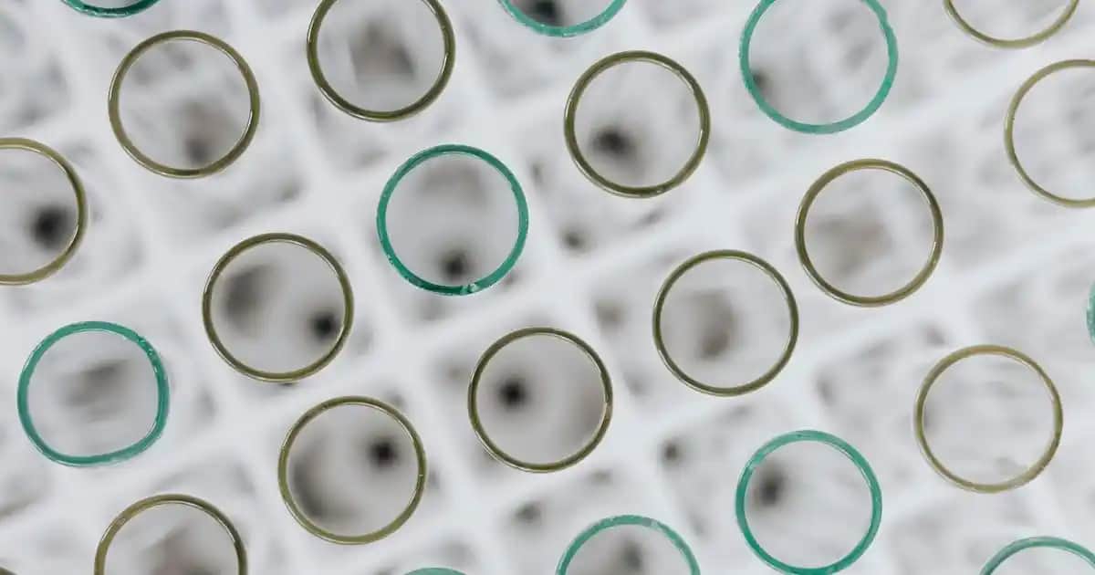 Erkekler İçin Defolu Kot Pantolonlar: Moda ve Ekonomiyi Bir Arada Sunan Seçenekler