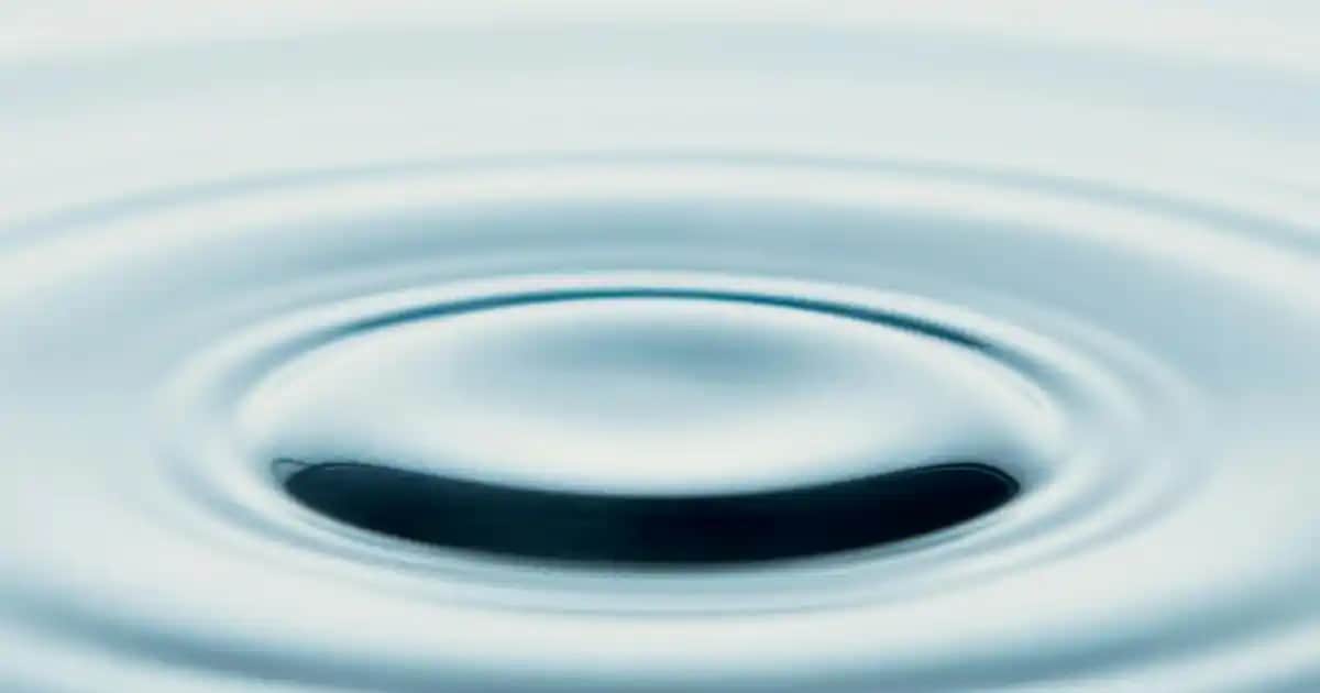 Erkekler İçin Doğum Günü Hediyesi: Çanta ve Ayakkabıyla Şıklık ve İşlevsellik