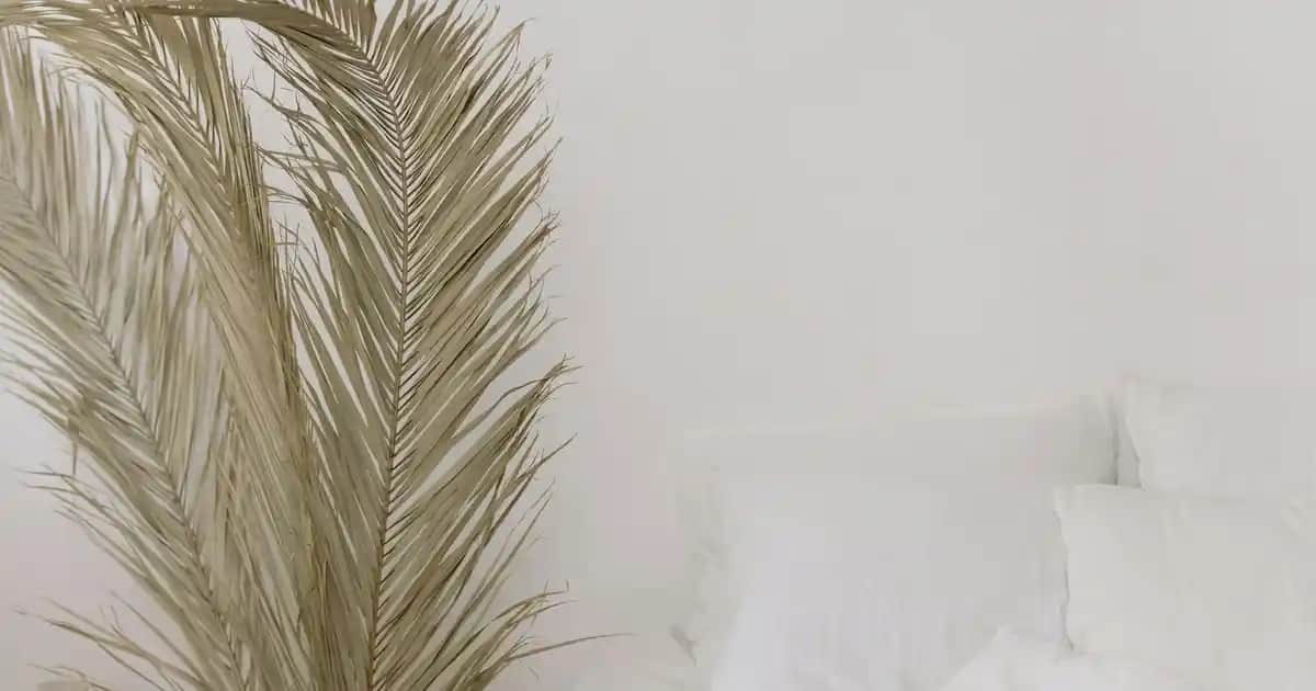 Erkekler İçin Doğum Günü Hediyesi Seçenekleri Çanta ve Ayakkabı Modelleriyle