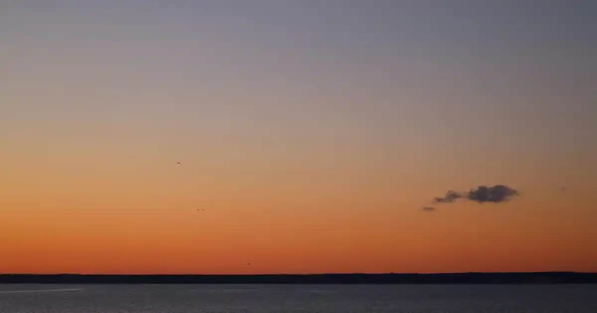 Erkekler İçin Düğün Kombini Rehberi: Şıklık ve Zarafetin Anahtarları
