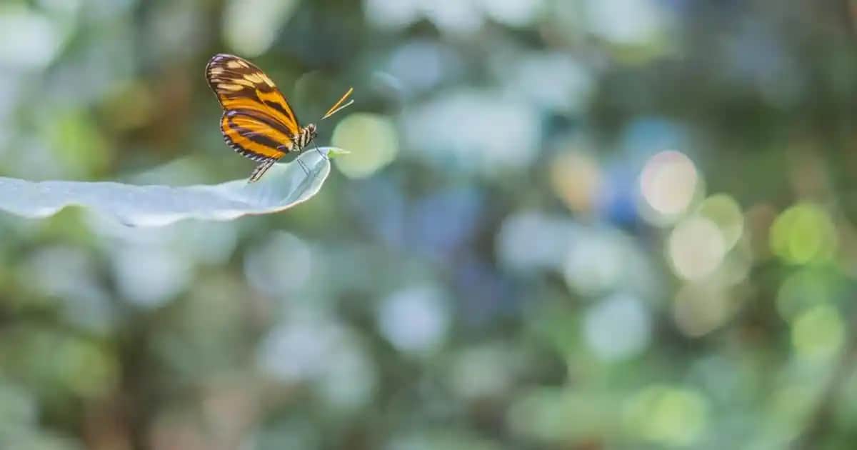 Erkekler İçin En Şık ve Kullanışlı Hediye Fikirleri: Çanta ve Ayakkabı Seçenekleri