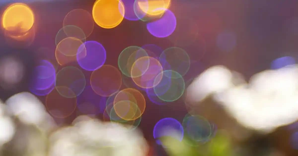 Erkekler İçin Fly Soft Terlikler: Konfor ve Şıklığın Modern Buluşması