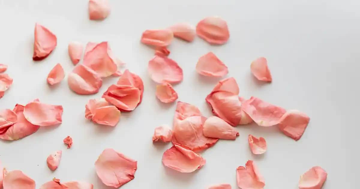 Erkekler İçin Kareli Pantolon Kombinasyonları ve Moda İpuçları