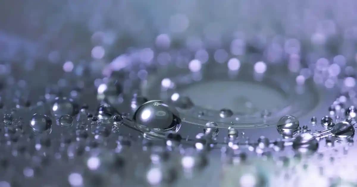 Erkekler İçin Kışlık Eşofman Altı Seçenekleri ve Kombin İpuçları