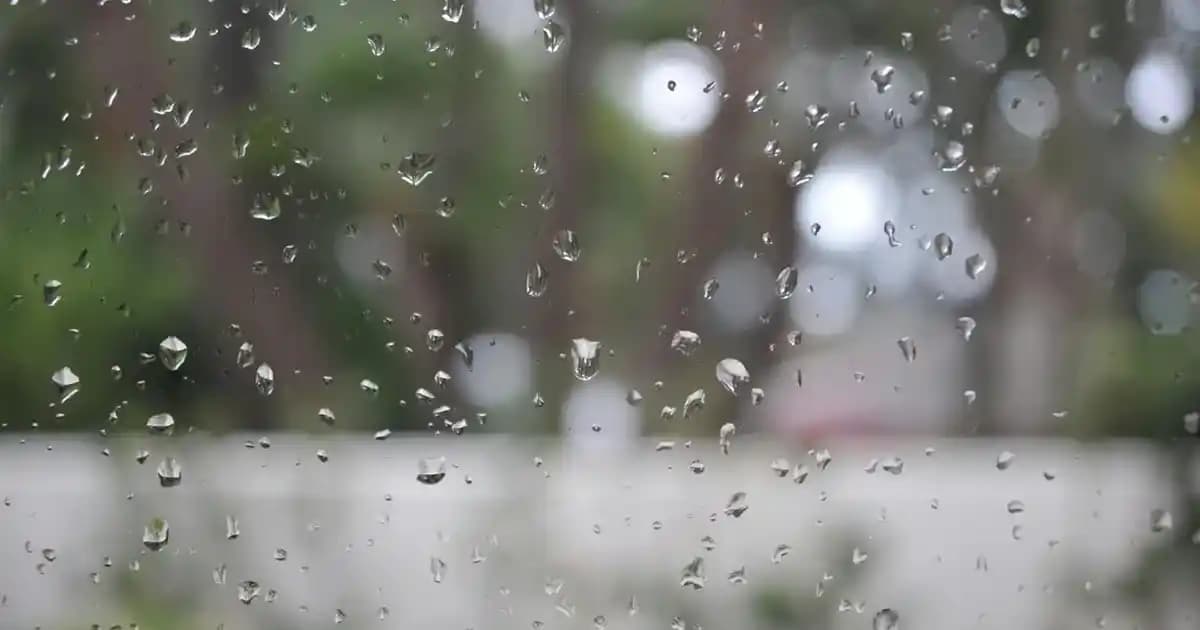 Erkekler İçin Lastikli Paça Pantolonlar: Güncel Modeller ve Kombinasyon İpuçları