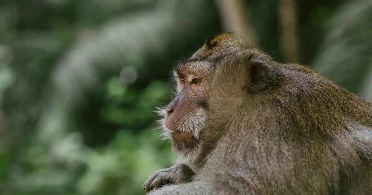 Erkekler İçin Mavi Kumaş Pantolonlar: Modeller, Kombinler ve Stil Önerileri