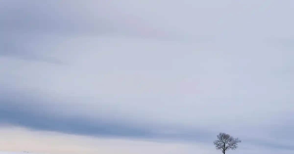 Erkekler İçin Mavi Mevsimlik Mont Seçenekleri ve Stil İpuçları