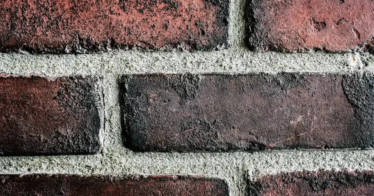 Erkekler İçin Modern Spor Giyim Kombinleri ve Stil Rehberi