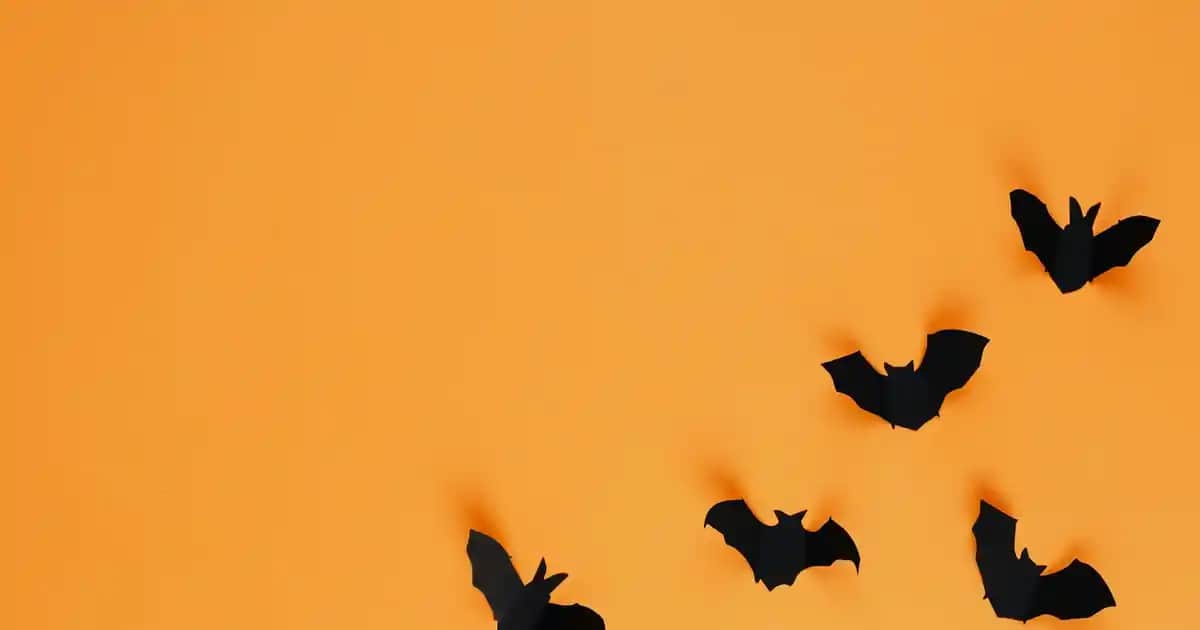 Erkekler İçin Nike Cırt Cırtlı Ayakkabılar: Konfor ve Şıklığın Modern Buluşması