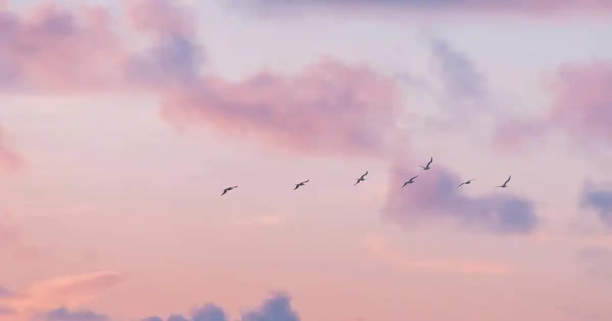 Erkekler İçin Önü Açık Gömlek Kombinleri: Günlük ve Resmi Tarzlar İçin Rehber