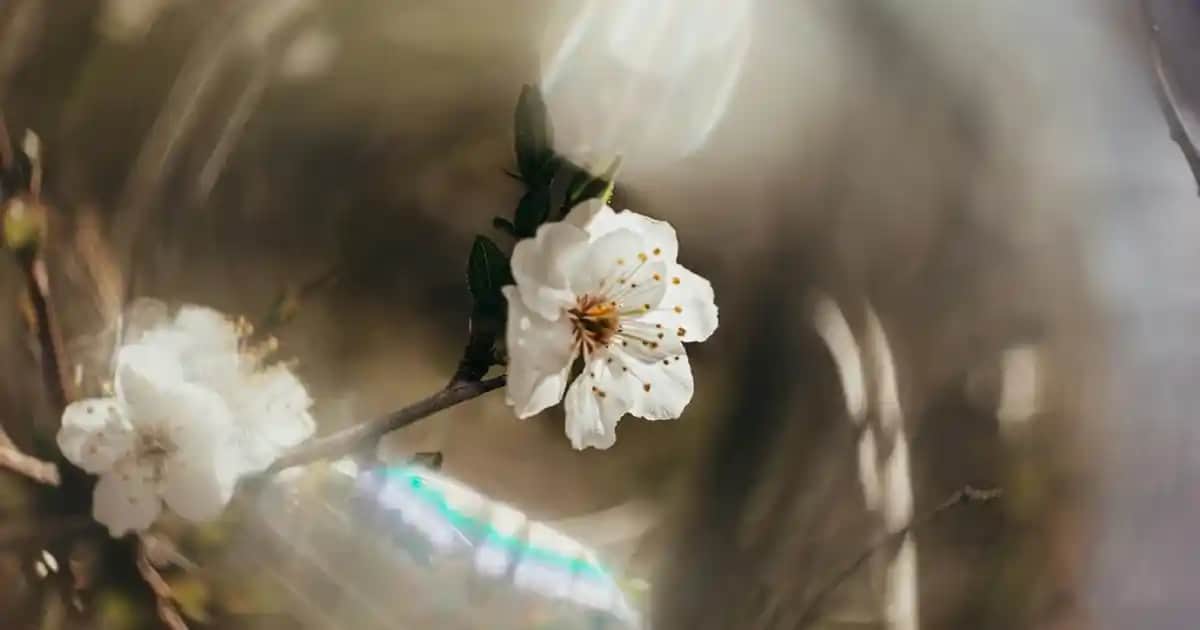 Erkekler İçin Saç Lastiği ve Toka Modelleri: Tarzınızı Tamamlayan Detaylar