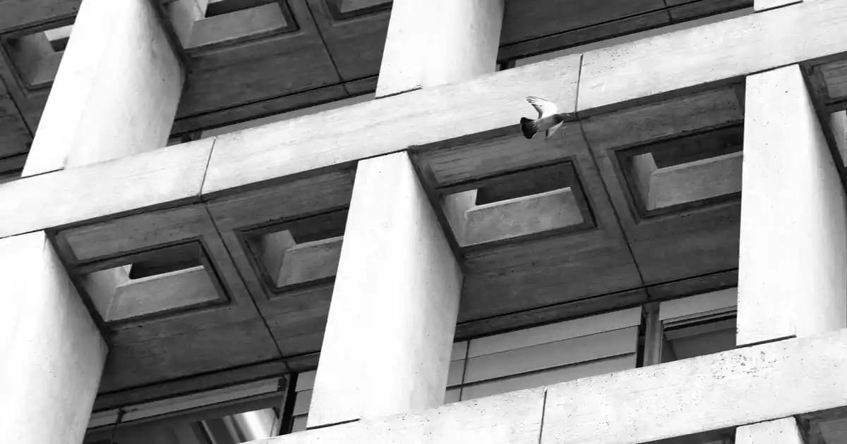 Erkekler İçin Siyah Kot Pantolon Kombinleri ve Stil İpuçları