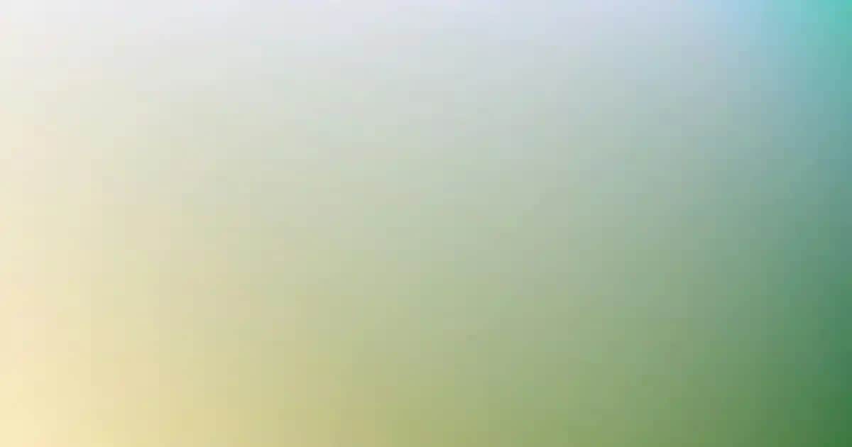 Erkekler İçin Siyah Polo Yaka Tişört: Şıklık ve Rahatlığın Buluşma Noktası