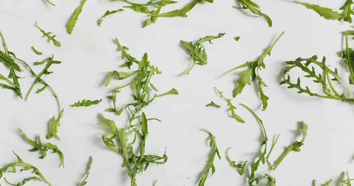 Erkekler İçin Spor Ayakkabı Seçiminde Dikkat Edilmesi Gerekenler ve En İyi Modeller