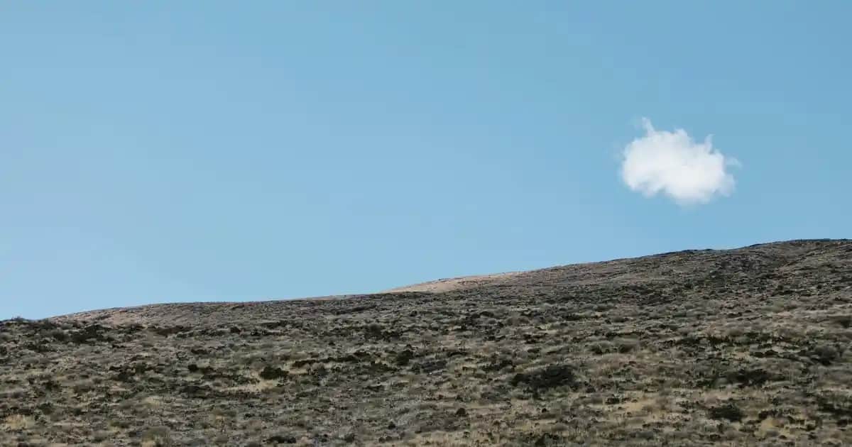 Erkekler İçin The North Face Montlar: Dayanıklı ve Şık Kış Giyim Seçenekleri