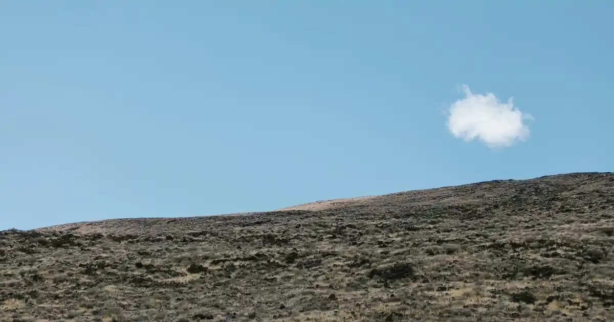 Erkekler İçin The North Face Montlar: Dayanıklı ve Şık Kış Giyim Seçenekleri