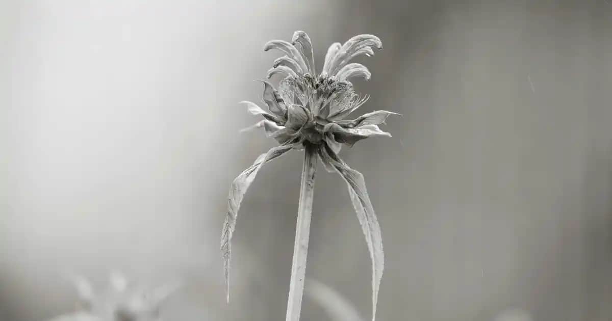 Erkekler İçin Ultraboost 22 Spor Ayakkabısı: Konfor ve Şıklığın Modern Buluşması