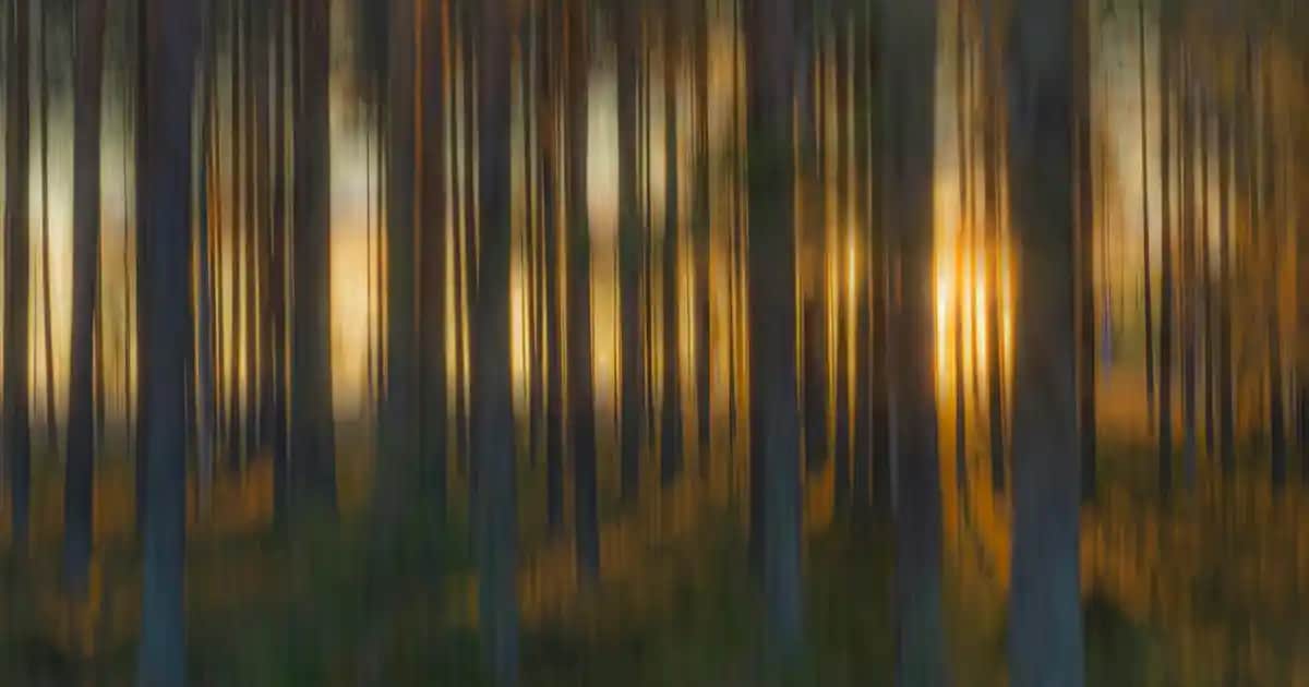 Erkekler İçin Uzun Sweatshirt Modelleri ve Stil İpuçları Hakkında Kapsamlı Rehber