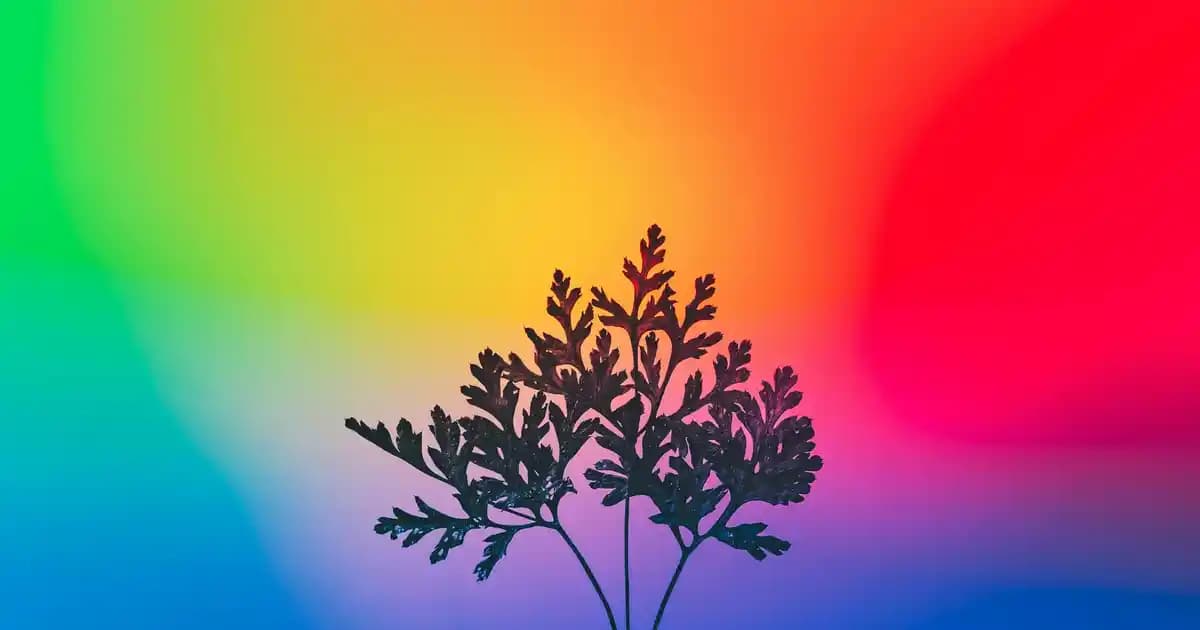 Fenerbahçe Erkek Eşofman Takımları: Şıklık ve Konforun Buluştuğu Spor Giyim Seçenekleri