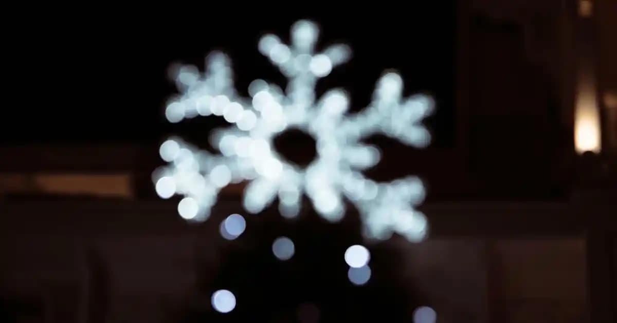 Genç Erkekler İçin Mont Seçimi: Trendler, Modeller ve Stil İpuçları