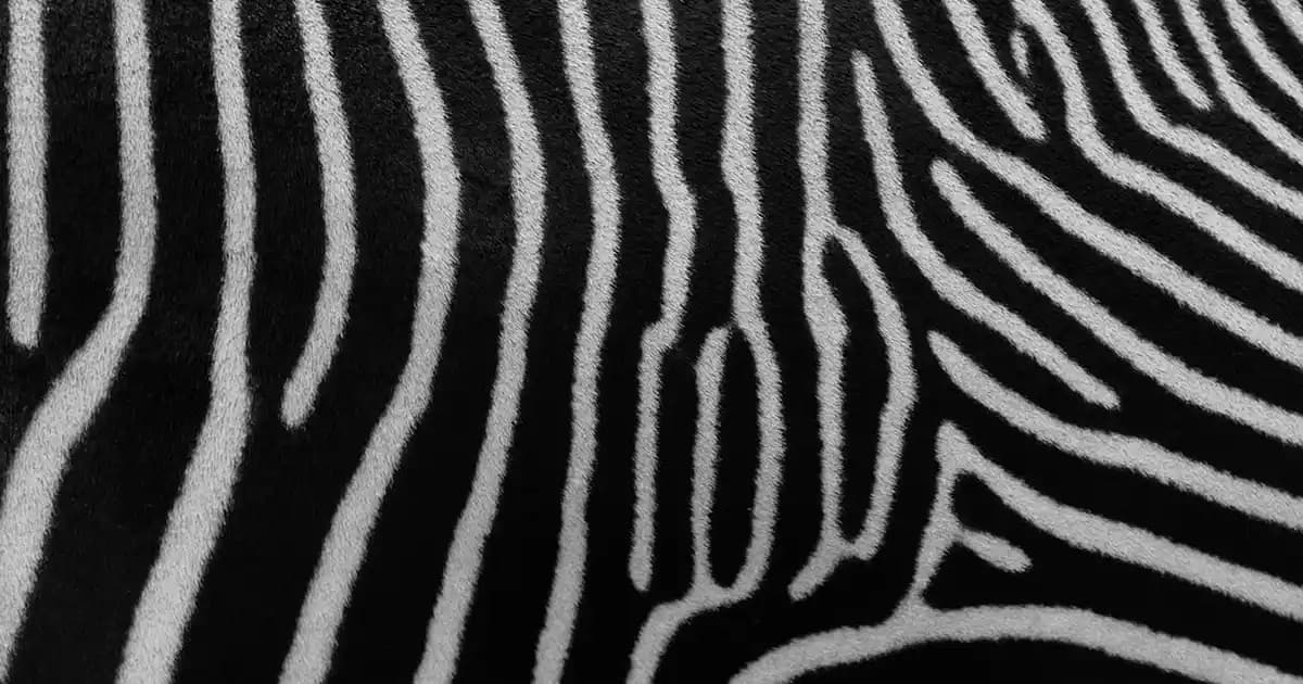 Gri Gömlek Altına Uygun Pantolon Renkleri ve Kombinasyon İpuçları