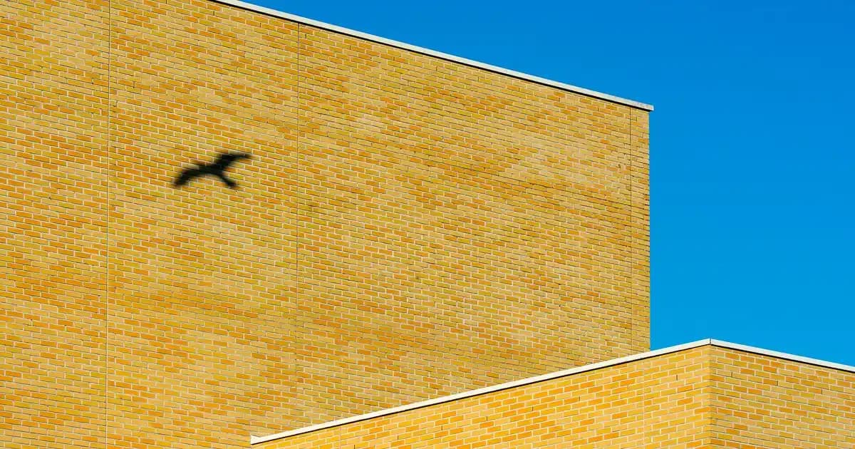 Hummel Erkek Çocuk Ayakkabıları: Konfor, Şıklık ve Dayanıklılık Sunan Modeller