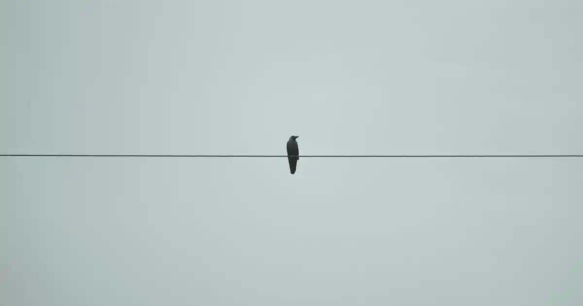 Hummel Erkek Spor Ayakkabıları: Şıklık ve Konforun En İyi Buluşması