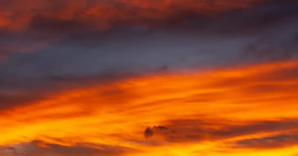 Jogger Ayakkabılar: Günlük ve Spor Kullanımına Uygun Modern Tasarımlar ve Özellikler