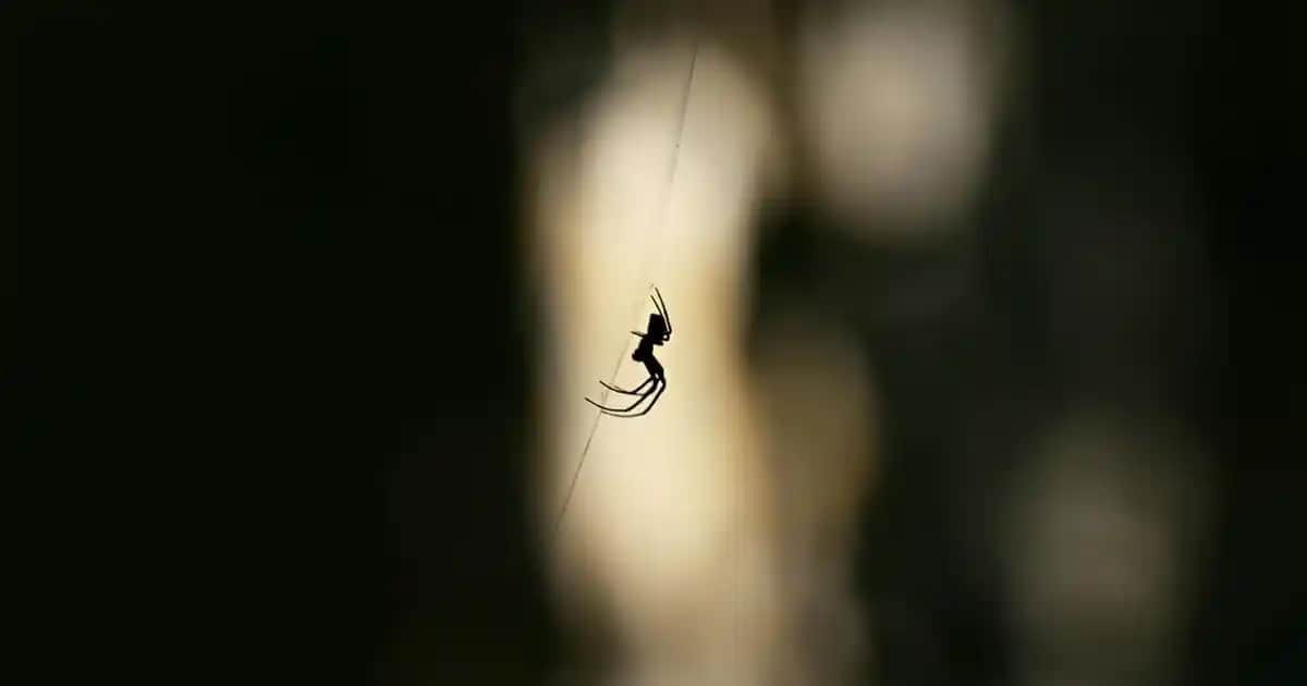 Jordan Ayakkabıları: Spor Performansı ve Moda Trendlerini Bir Arada Sunan Ikonik Tasarımlar