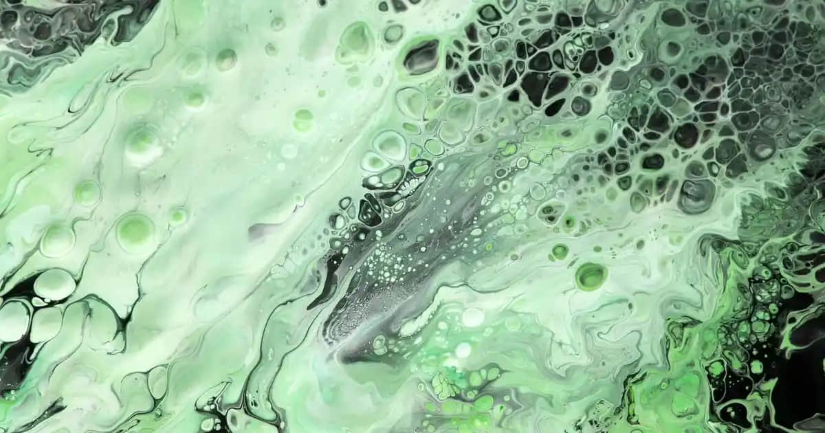 Kadın Ayakkabıları 2025 Trendleri ve Doğru Seçim İpuçlarıyla Stil ve Konforu Yakalayın