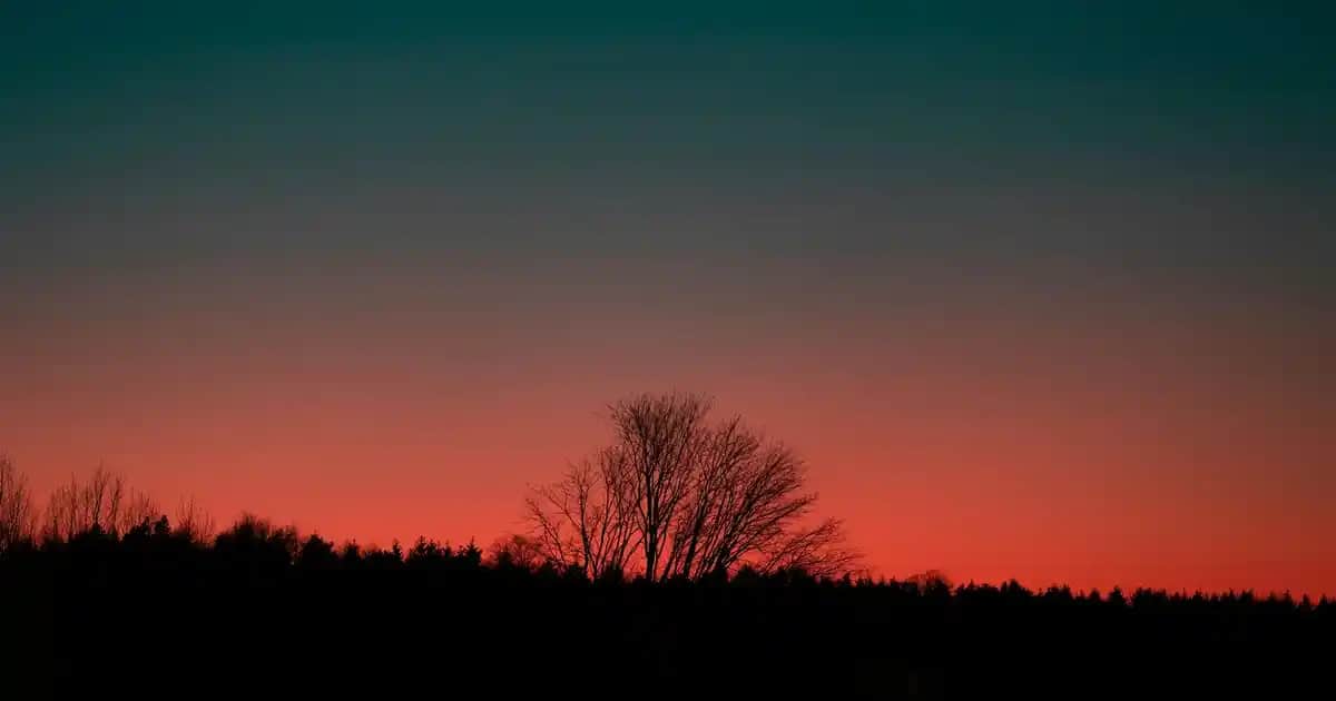 Kadın Ceket Seçiminde Doğru Kol Boyu ve Stil İpuçları 2023