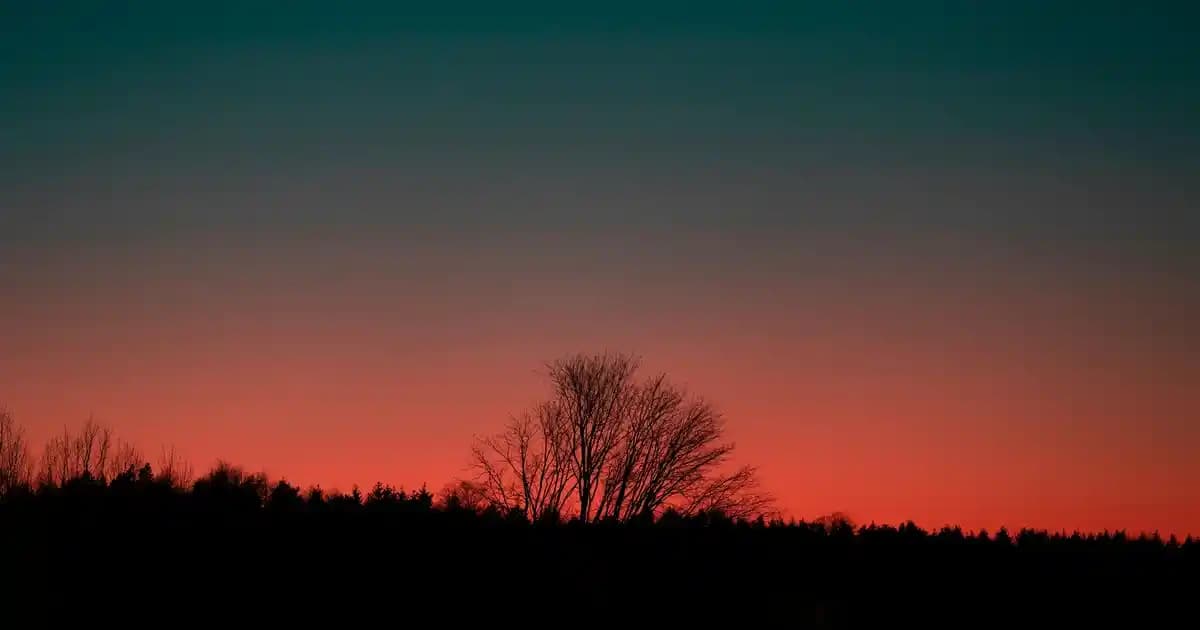 Kadın Ceket Seçiminde Doğru Kol Boyu ve Stil İpuçları 2023