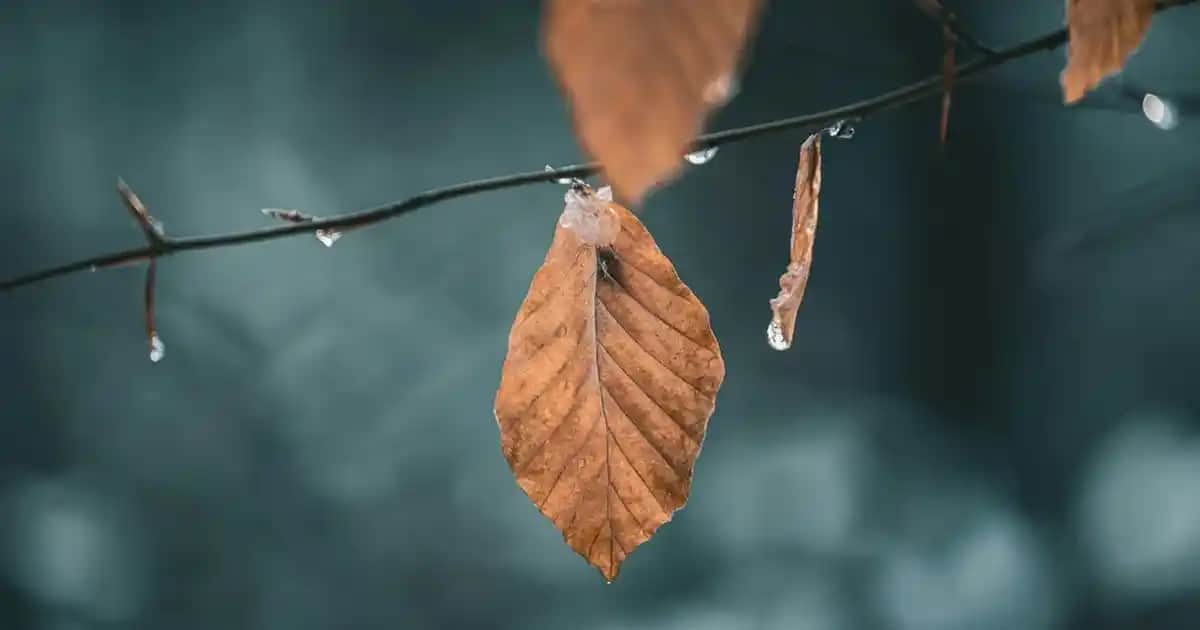 Kadın Şişme Yelek Kombinleri: Stil ve Konforun Buluştuğu Güncel Trendler